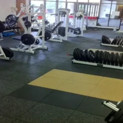 Activation Weight Room Sport Deluxe Colors Tile 1 Inch x 2x2 Ft.
