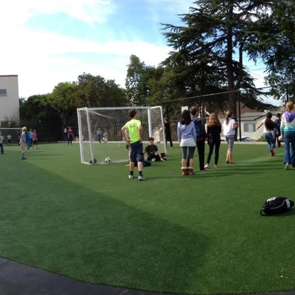 Arena Pro Sports Turf Roll 7/8 Inch x 15 Ft. Wide 5mm Padded Per SF