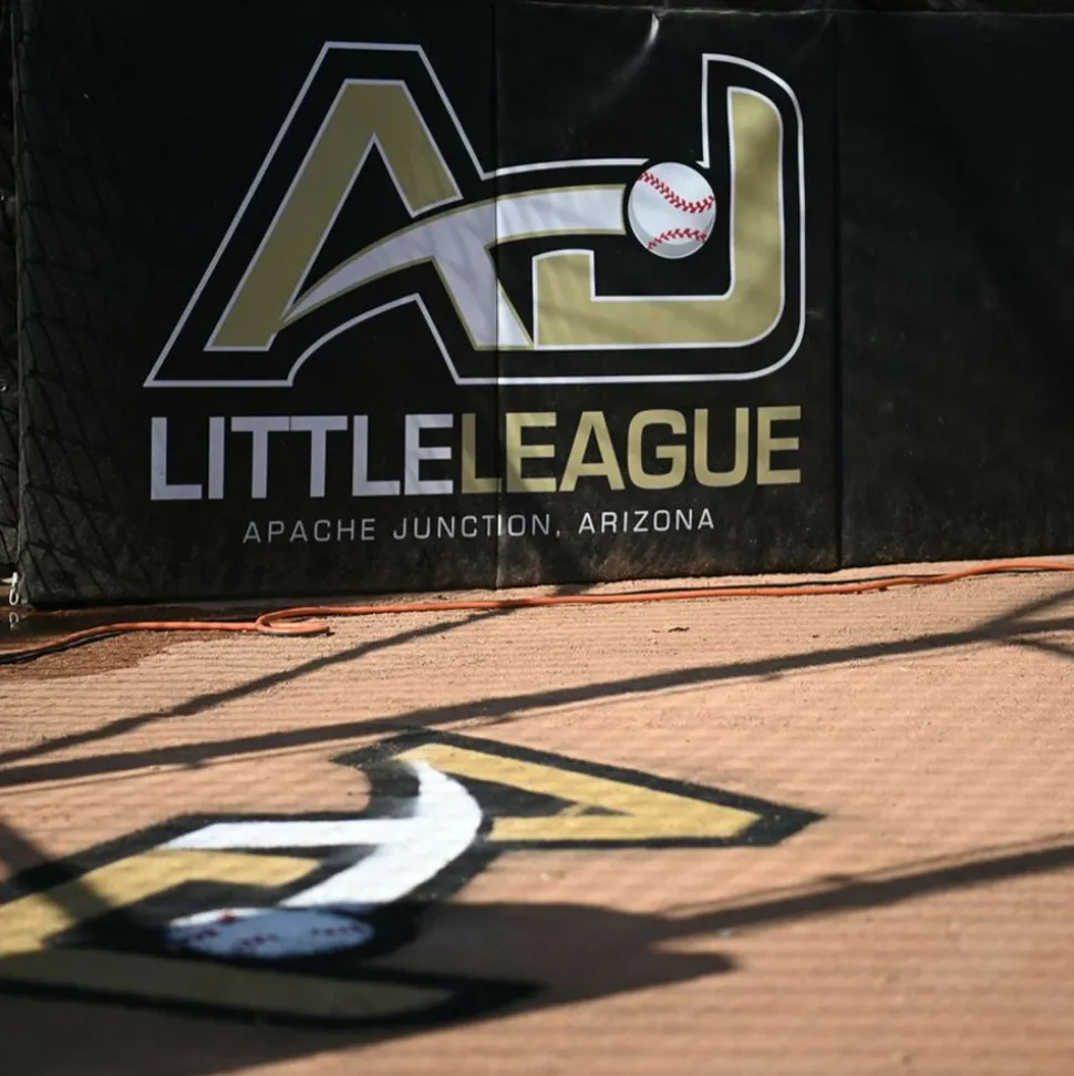 BaseBall BackStop Folding Pad 2 Inch x 4x8 Ft.
