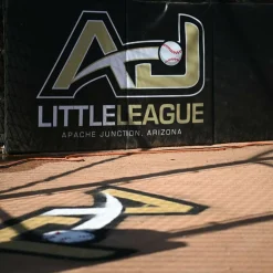 Baseball Pro BackStop Folding Pad 3 Inch 4x8 Ft.
