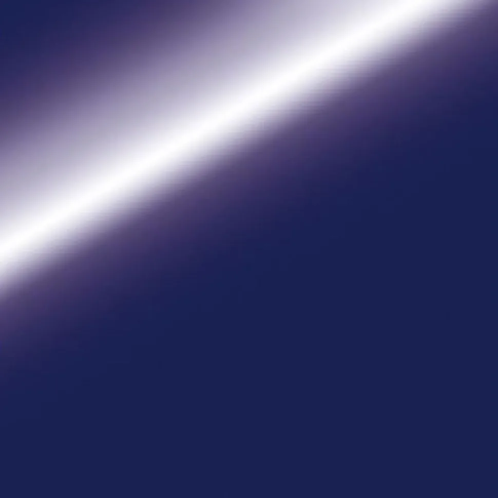 Brilliance High Shine Event Floor 2 mm x 4.9x81.9 Ft.