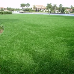Countryside Deluxe Artificial Turf Roll 1-1/2 Inch x 15 Ft. Wide Per SF