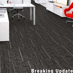 Daily Wire Commercial Carpet Tiles 3.2 mm x 24x24 Inches Carton of 24