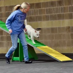 Dog Agility Mats Interlocking Tiles 3/4 Inch x 1x1 Meter