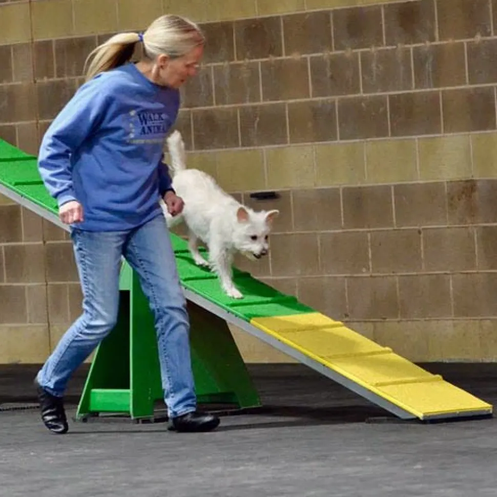 Dog Agility Mats Interlocking Tiles 3/4 Inch x 1x1 Meter