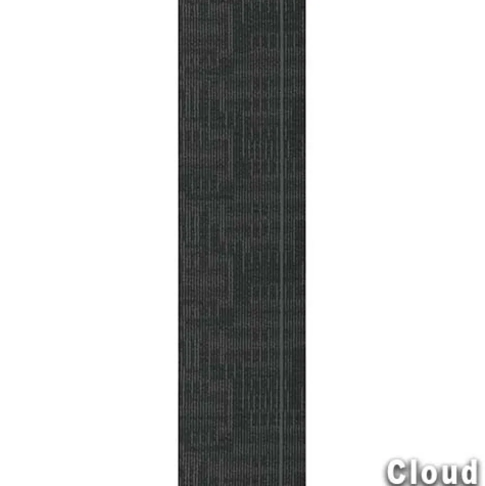 Echo Commercial Carpet Planks 1/4 Inch x 12x48 Inches Carton of 14