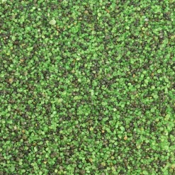 Envirofill 50 lbs Green/Black Blend Landscape 16/30 Mesh