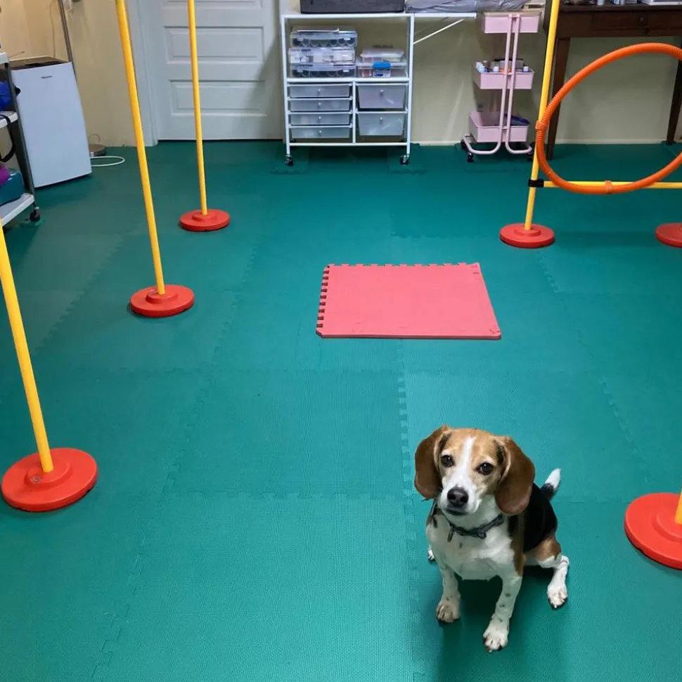 Foam Kids and Gym Mats Premium 5/8 Inch x 2x2 Ft.
