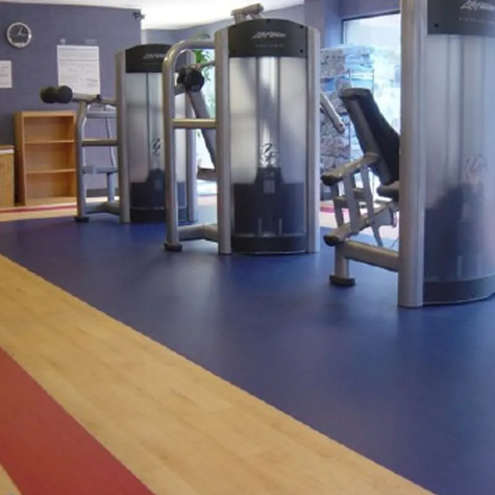 Gameflex Vinyl Multi-Purpose Gym Flooring Full Roll 6.58 Ft. x 65.33 Ft.
