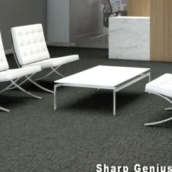 Genius Commercial Carpet Tiles 6.3 mm x 24x24 Inches 20 Per Case