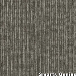 Genius Commercial Carpet Tiles 6.3 mm x 24x24 Inches 20 Per Case