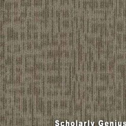 Genius Commercial Carpet Tiles 6.3 mm x 24x24 Inches 20 Per Case