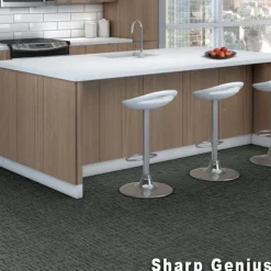 Genius Commercial Carpet Tiles 6.3 mm x 24x24 Inches 20 Per Case