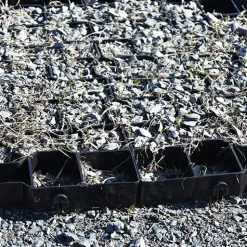 GeoGrid Cellular Paving System 4 cm x 1.6x1.6 Ft.