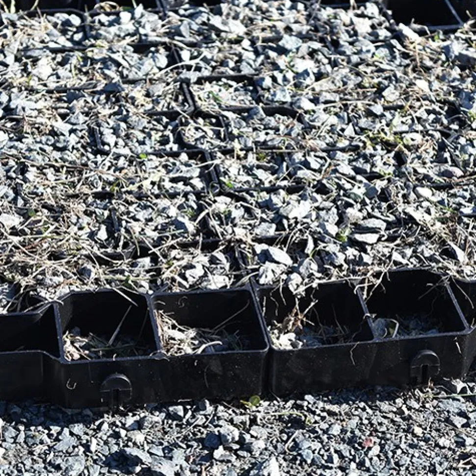 GeoGrid Cellular Paving System 4 cm x 1.6x1.6 Ft.