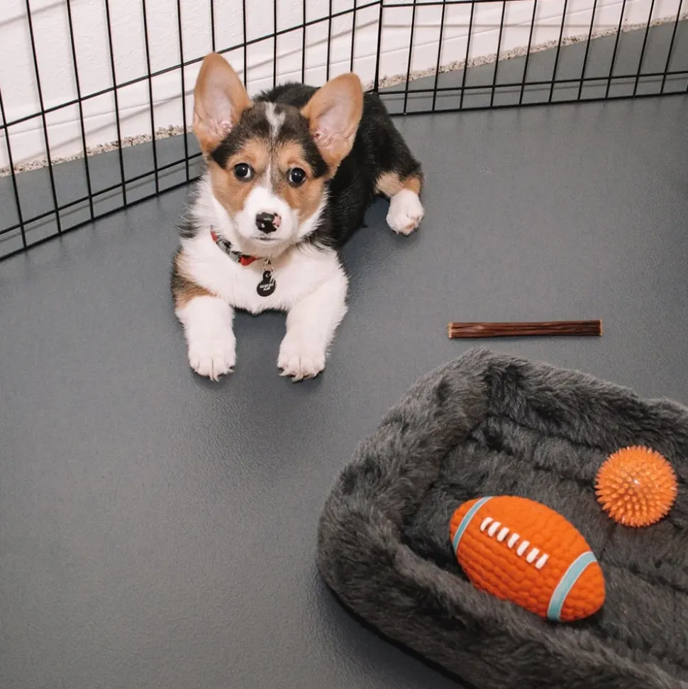G-Floor Protective Kennel Floor Mat Ceramic Texture 1.4 mm x 5x10 Ft.