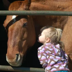 Greatmats Horse Stall Mats Kit 12x12 Ft.