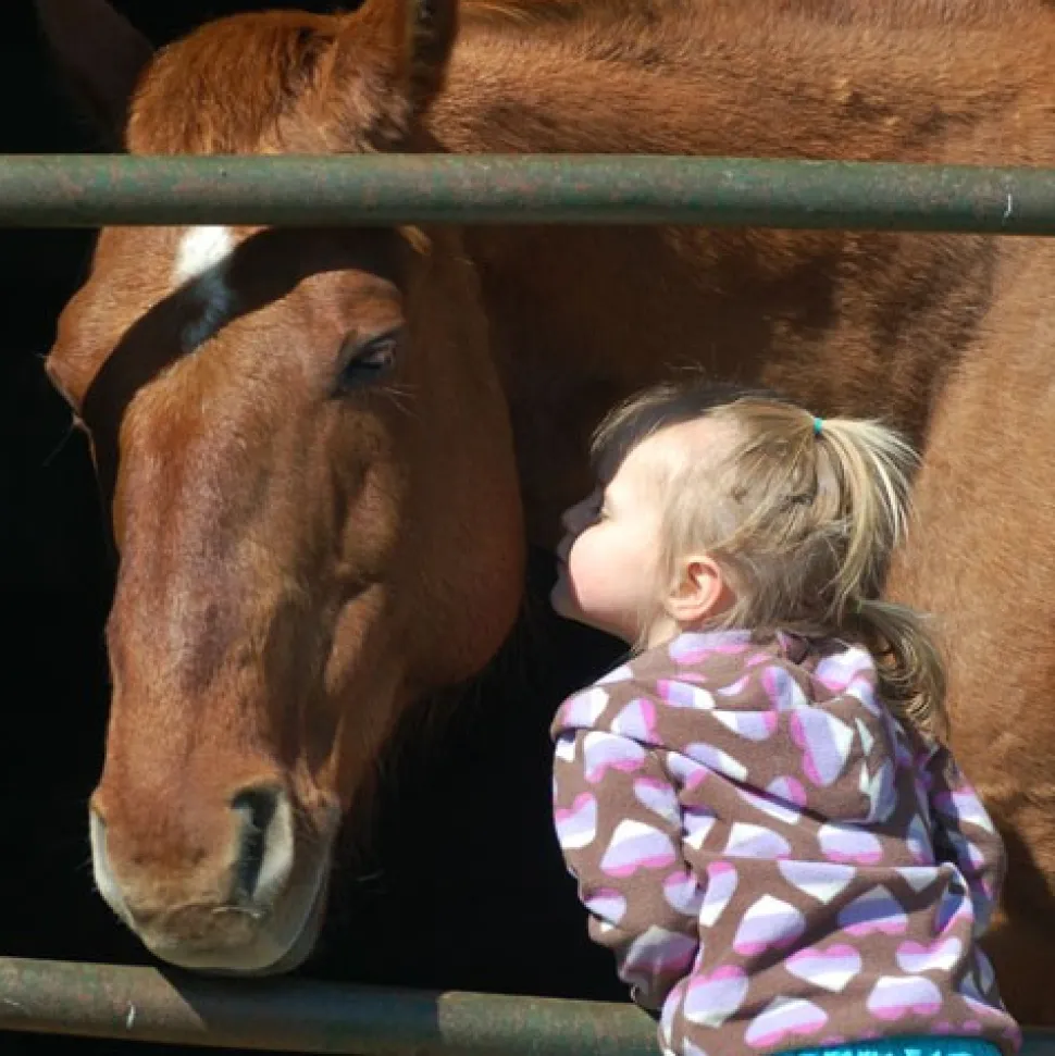Greatmats Horse Stall Mats Kit 12x12 Ft.