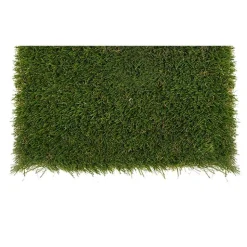 Greatmats Select Landscape Turf 1-1/2 Inch x 15 Ft. Wide per LF