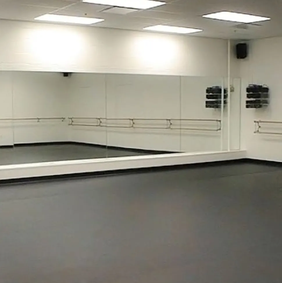 Greatmats Standard XL Tap Dance Marley Roll 79 Inches x 65.71 Ft.