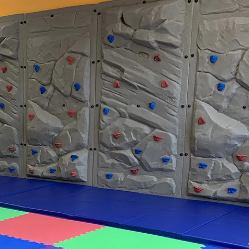 Gym Mats 2 Inch x 5x10 Ft. V4 18 oz
