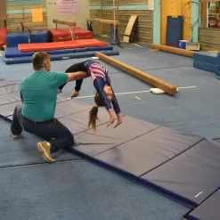 Gym Mats 2 Inch x 4x10 Ft. V4 18 oz