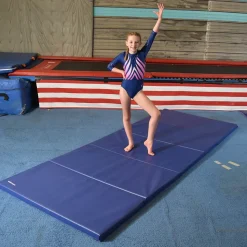 Gym Mats 2 Inch x 4x10 Ft. V4 18 oz
