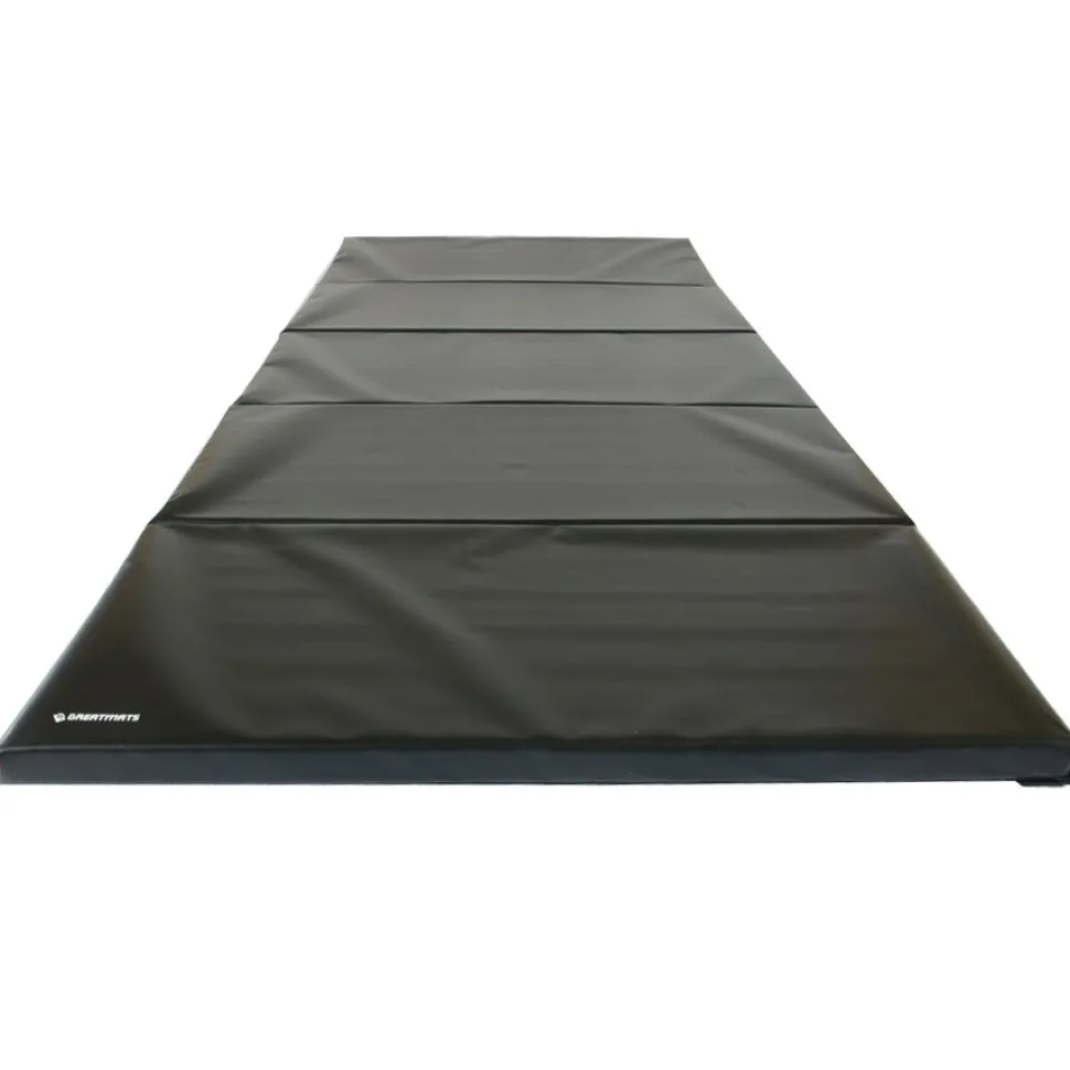 Gym Mats 2 Inch x 4x10 Ft. V4 18 oz