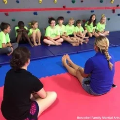 Gym Mats 2 Inch x 4x10 Ft. V4 18 oz