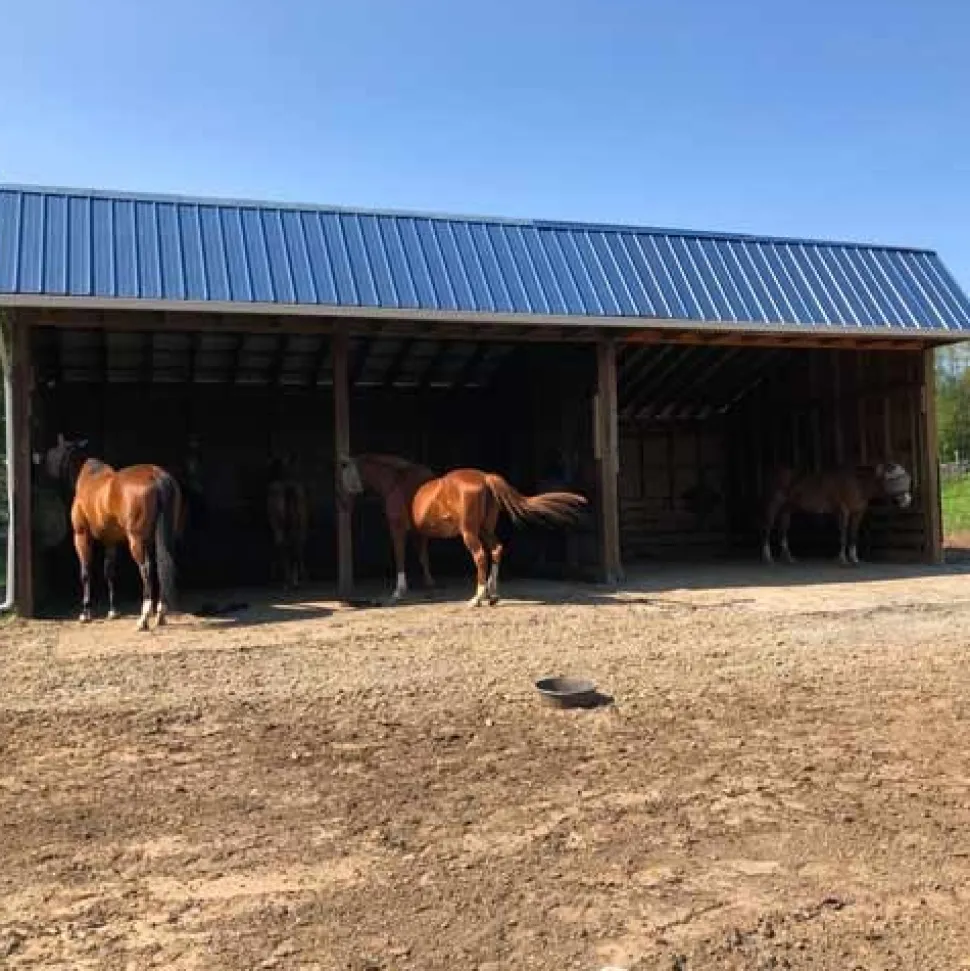 Horse Stall Interlocking Center Mat Cobblestone 3/4 Inch x 4x6 Ft.