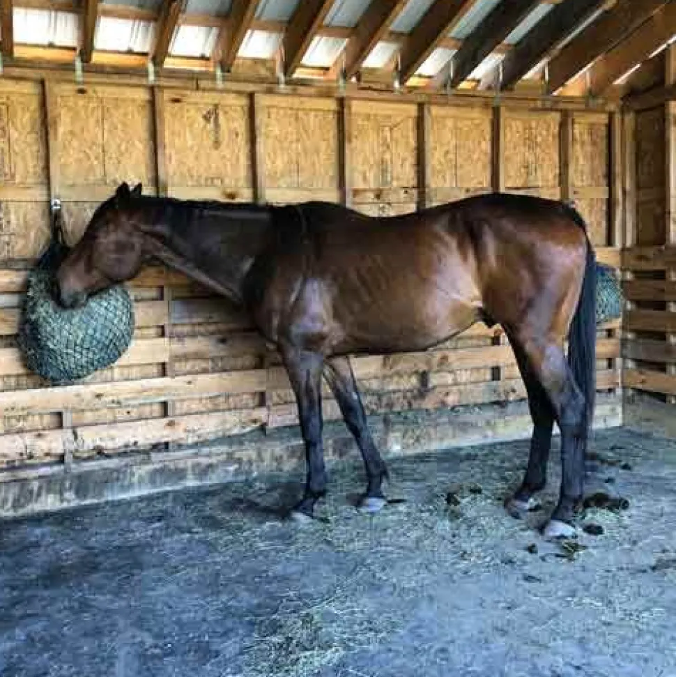 Horse Stall Interlocking Center Mat Cobblestone 3/4 Inch x 4x6 Ft.