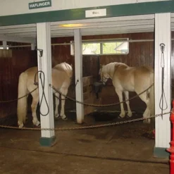 Horse Stall Interlocking 4 Ft. Border Mat Cobblestone 3/4 Inch x 4x6 Ft.