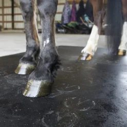 Horse Stall Mat Classic Interlocking 3/4 Inch x 10x10 Ft. Kit