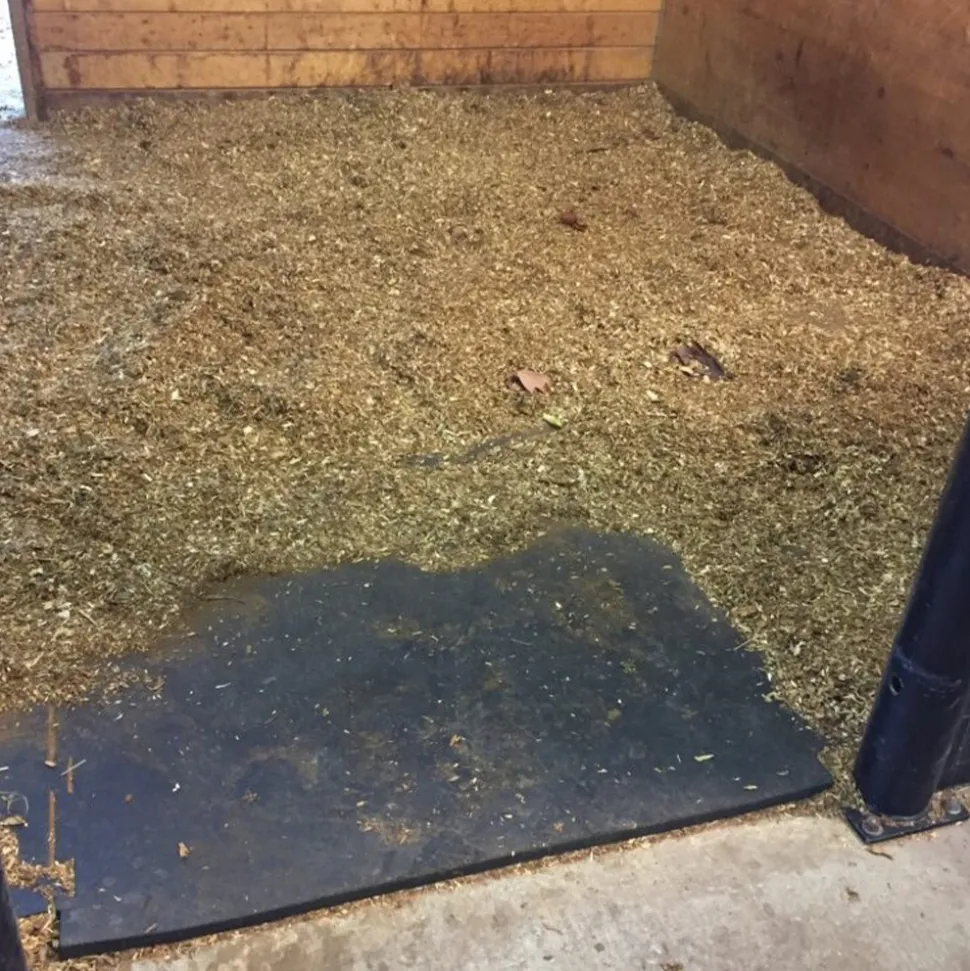 Horse Stall Mat Classic Interlocking 3/4 Inch x 12x12 Ft. Kit