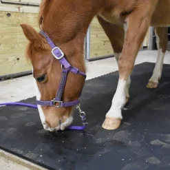 Horse Stall Mats Kit Cobblestone 3/4 Inch x 12x12 Ft.