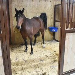 Horse Stall Mats Kit Cobblestone 3/4 Inch x 10x10 Ft.