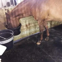 Horse Stall Mats Kit Cobblestone 3/4 Inch x 10x12 Ft.