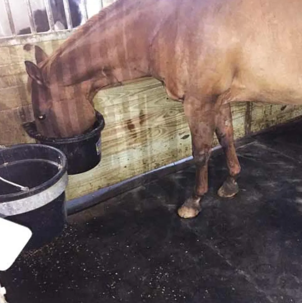 Horse Stall Mats Kit Cobblestone 3/4 Inch x 10x12 Ft.
