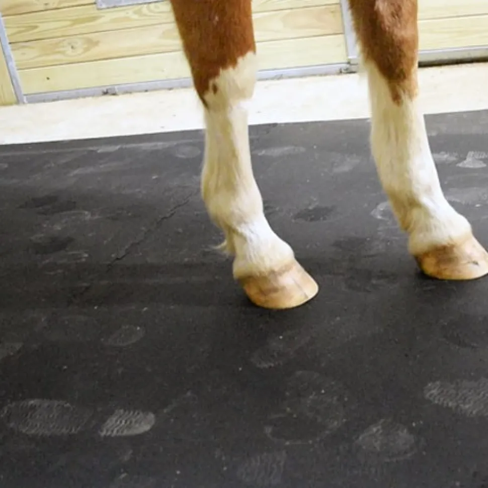 Horse Stall Mats Kit Cobblestone 3/4 Inch x 10x14 Ft.
