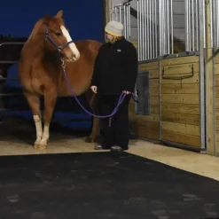 Horse Stall Mats Kit Cobblestone 3/4 Inch x 12x20 Ft.