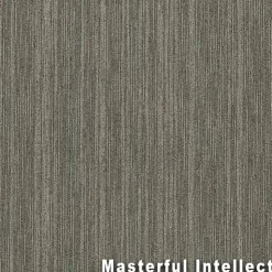 Intellect Commercial Carpet Tiles 6.3 mm x 24x24 Inches 20 Per Case