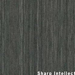 Intellect Commercial Carpet Tiles 6.3 mm x 24x24 Inches 20 Per Case