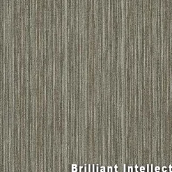 Intellect Commercial Carpet Tiles 6.3 mm x 24x24 Inches 20 Per Case
