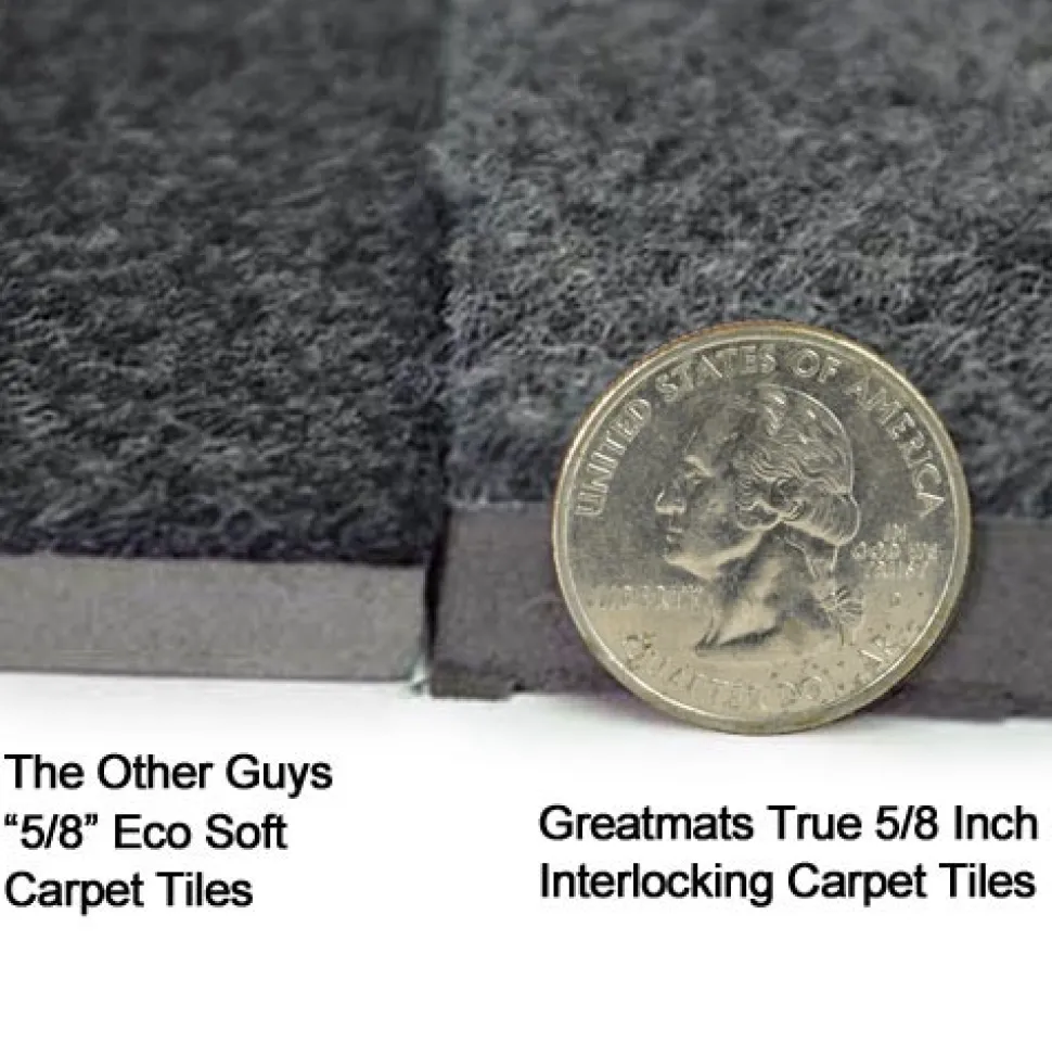 Interlocking Carpet Tiles Royal 20x30 Ft Kit