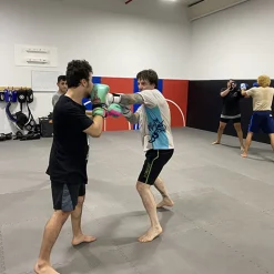 Jiu Jitsu Mats Interlocking 1-1/4 Inch x 1x1 Meter