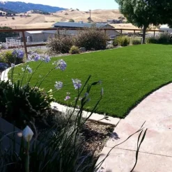 La Jolla Classic Artificial Grass Turf Roll 1 5/8 Inch x 15 Ft. Wide Per SF