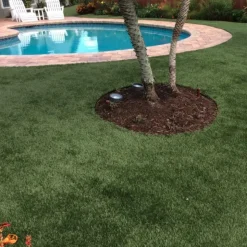 La Jolla Classic Artificial Grass Turf Roll 1 5/8 Inch x 15 Ft. Wide Per SF