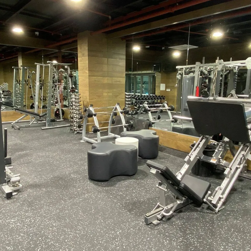 PaviGym Extreme Gym Rubber Floor Tiles 7 mm x 39.37x39.37 Inches