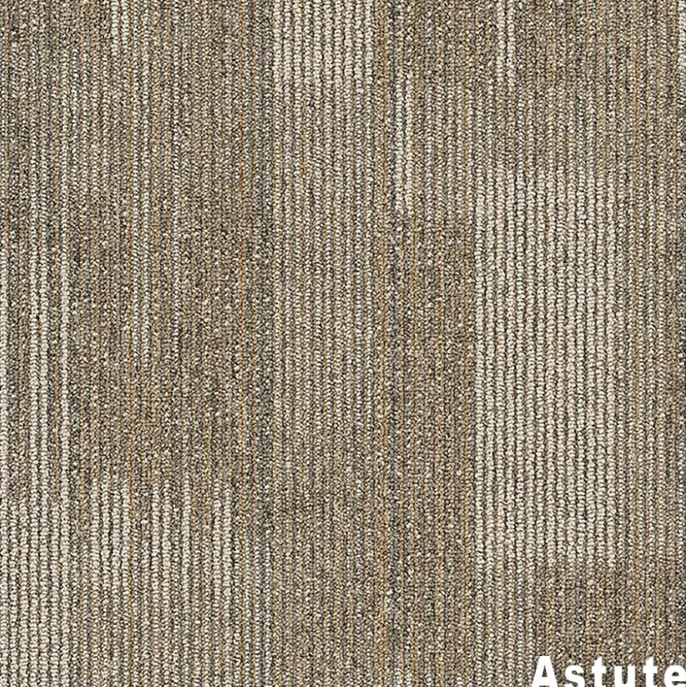 Point of View Commercial Carpet Plank .27 Inch x 18x36 Inches 10 per Carton