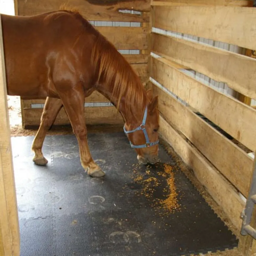 Portable Foam Horse Stall Mats 3/4 Inch x 2x2 Ft.